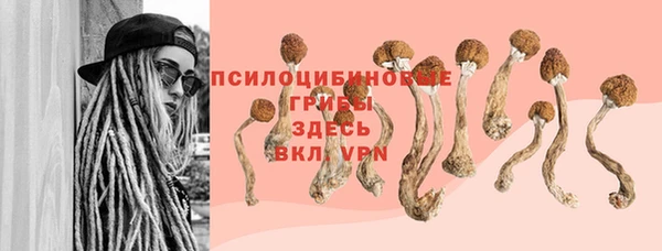 ECSTASY Алексин