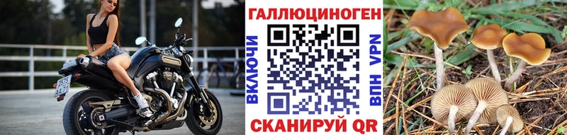 blacksprut вход  цена наркотик  Лесосибирск  нарко площадка Telegram  Галлюциногенные грибы GOLDEN TEACHER 